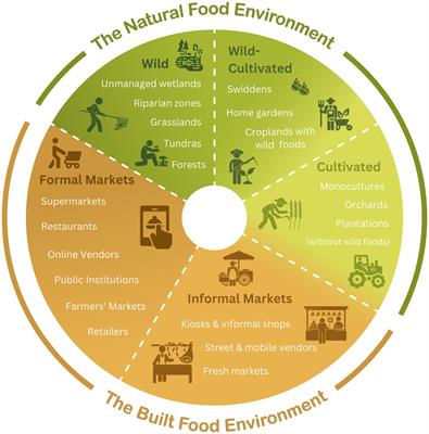 Adapting food environment frameworks to recognize a wild-cultivated continuum